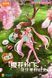 Фігурка-конструктор Хацуне Міку - Сакура версія - Bloks Hatsune Miku Miracle Edition - Sakura blok_miku_sakura фото 6